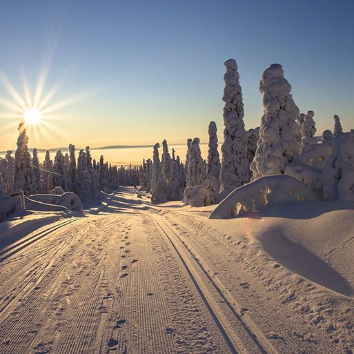 Paisaje de Laponia en Finlandia