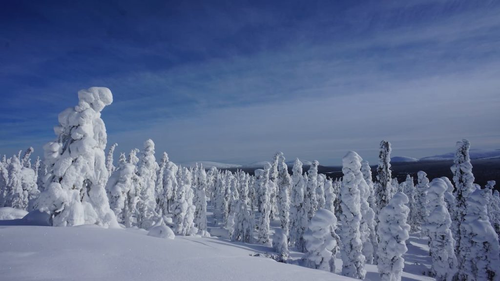 Paisaje nevado en Ylläs, Finlandia